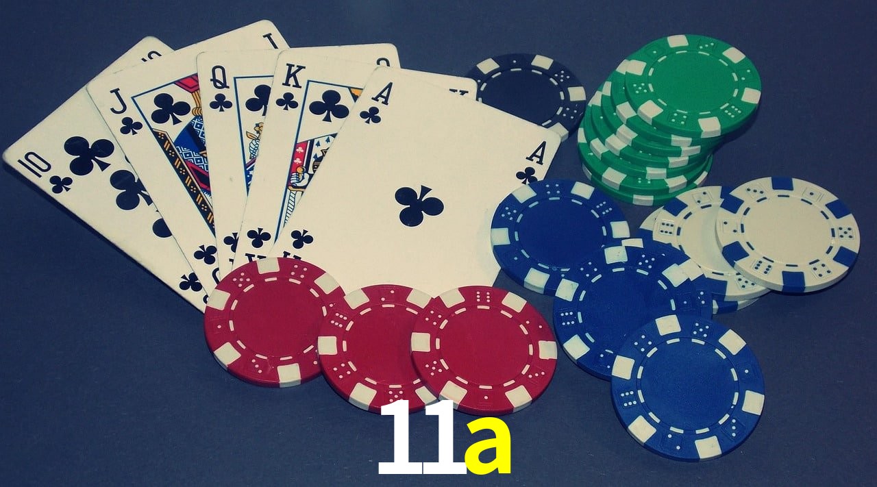 Experiência VIP 11a